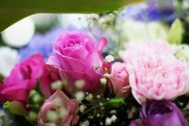 Yakın güzel Pembe gül çiçek buketi