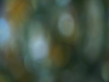 Defocused Bulanık soyut bokeh arka plan