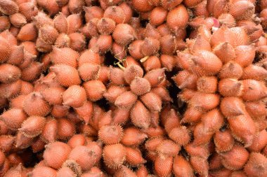 Yakın Salacca Yılan tropikal meyve arka plan