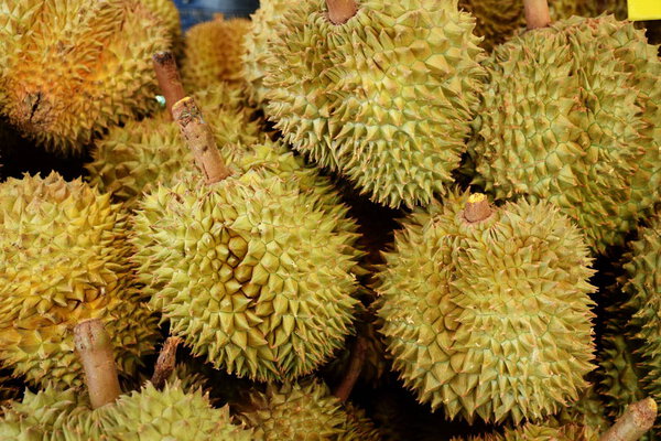 Король фруктовых дурианских тропических фруктов

