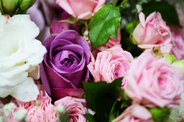 Yakın güzel Pembe gül çiçek buketi