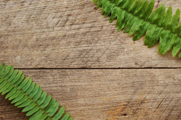 シダは木製の背景でスペース コピーを緑の熱帯植物を残す — ストック写真
