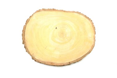 Ağaç gövdesi beyaz arkaplanda izole edildi
