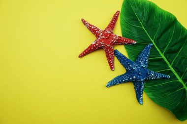Yeşil izinli yaz arkaplanı konsepti ve sarı arka planda deniz yıldızı dekorasyonu