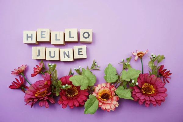 Olá Junho Alfabeto Letras Com Decoração Flores Rosa Fundo Roxo — Fotografia de Stock