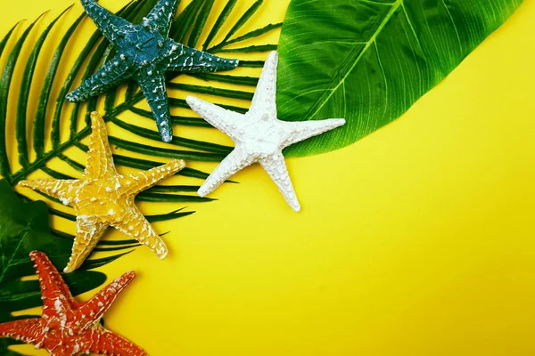 Concepto Fondo Verano Con Licencia Verde Decoración Estrellas Mar Sobre — Foto de Stock