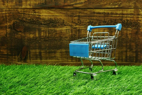 Mini Carro Carro Compras Sobre Fondo Hierba Madera Verde —  Fotos de Stock