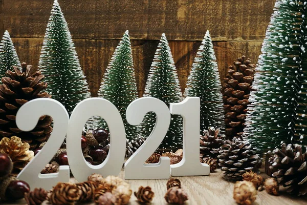 Feliz Ano Novo 2021 Fundo Festivo Com Árvore Natal Pinho — Fotografia de Stock