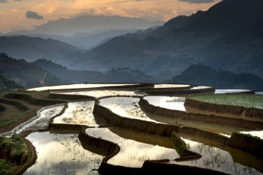 Mu Cang Chai, yen Bai Eyaleti, Vietnam sulama sezonunda terasların güzel sahne