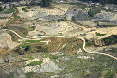 Mu Cang Chai, yen Bai Eyaleti, Vietnam sulama sezonunda terasların güzel sahne