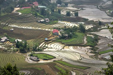 Teraslı alan yağlıboya güzel bir görüntüdür. Eğri çizgiler Terraced pirinç alanının pirinç de Mu Cang Chai Yen Bai ili büyümeye başlamadan önce zaman sulama sezonunda