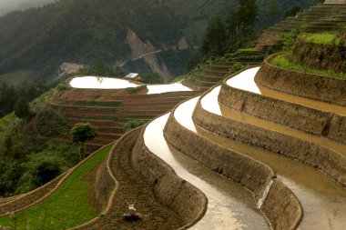 Teraslı alan yağlıboya resim güzel bir görüntüdür. Teraslı pirinç alan pirinç de Mu Cang Chai büyümeye başlamadan önce zaman sulama sezonu boyunca eğik çizgiler
