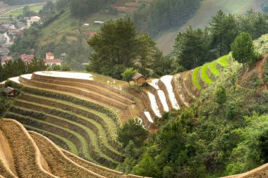 Teraslı alan yağlıboya resim güzel bir görüntüdür. Teraslı pirinç alan pirinç de Mu Cang Chai büyümeye başlamadan önce zaman sulama sezonu boyunca eğik çizgiler