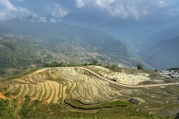 The image is as beautiful as the oil painting of terraced field. Curved lines of Terraced rice field during the watering season at the time before starting to grow rice in Mu Cang Chai in Yen Bai Province, Vietnam