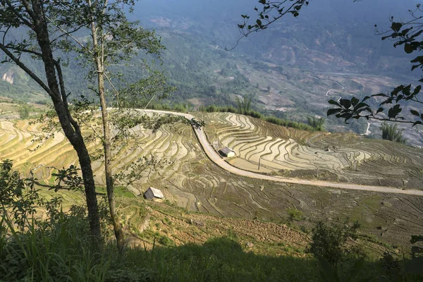 The image is as beautiful as the oil painting of terraced field. Curved lines of Terraced rice field during the watering season at the time before starting to grow rice in Mu Cang Chai in Yen Bai Province, Vietnam