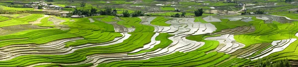 beautiful scenery of the terraces in the watering season in Mu Cang Chai, Yen Bai Province, Vietnam