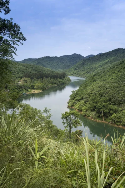 Huzurlu toplayan güzel dağ orman Thuong Lam Komün, Tuyen Quang Eyaleti, Vietnam