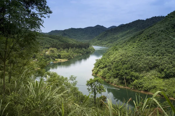 Huzurlu toplayan güzel dağ orman Thuong Lam Komün, Tuyen Quang Eyaleti, Vietnam