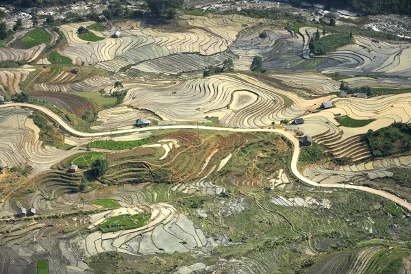 Mu Cang Chai, yen Bai Eyaleti, Vietnam sulama sezonunda terasların güzel sahne