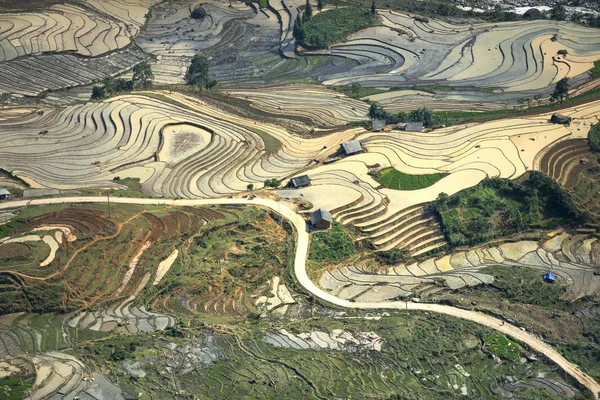 Mu Cang Chai, yen Bai Eyaleti, Vietnam sulama sezonunda terasların güzel sahne