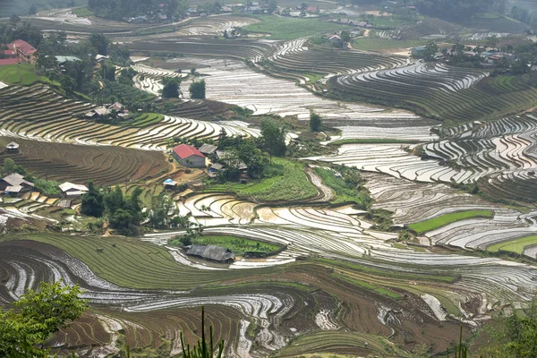 Mu Cang Chai, yen Bai Eyaleti, Vietnam sulama sezonunda terasların güzel sahne