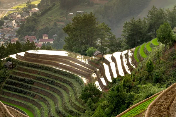 The image of terraced field is as beautiful as the oil painting. The curved lines of terraced rice field during the watering season at the time before starting to grow rice in Mu Cang Chai