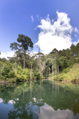 Bahar dağlarda turkuaz şeffaf göl. Su yeşil ağaçların yansıması