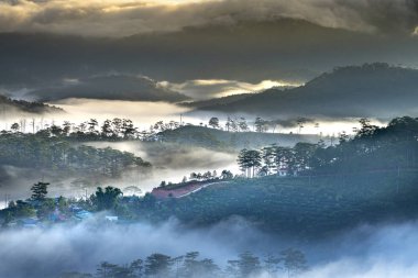 Sabah yapraklara çam ormanları, yaylaları üzerinde üzerinde bulutlar hayali aracılığıyla ile dawn güzel  
