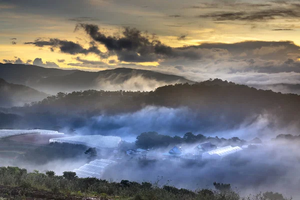 A magical image of a clouded valley in the early morning in Da lat town, Vietnam