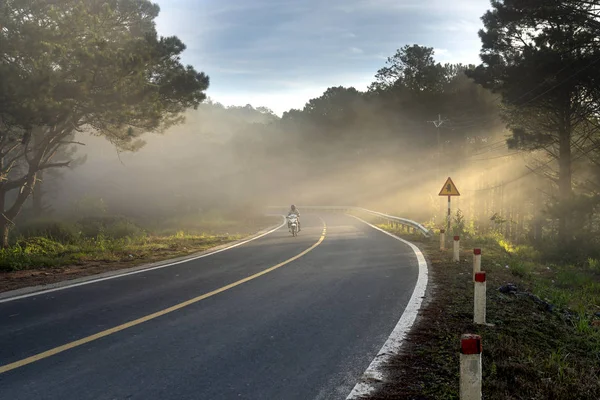 Rayos Luz Solar Atraviesan Bosques Pinos Carretera Curva — Foto de Stock