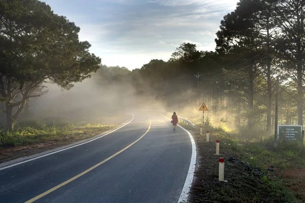 Lonely Woman Walking Sunlight Rays Pine Forest Curve Road — Stock Photo, Image