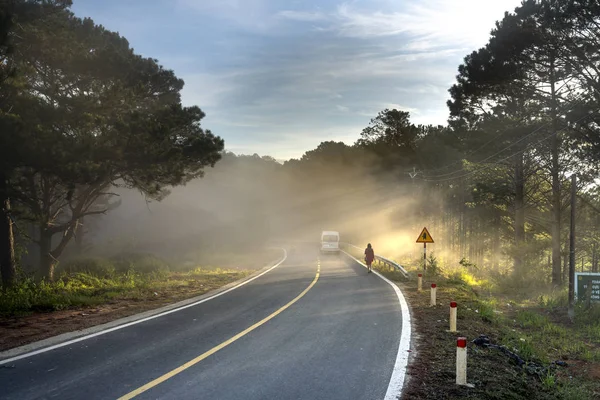 Osamělá Žena Chůze Paprscích Slunečního Světla Borovým Lesem Křivku Road — Stock fotografie