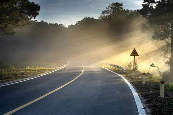 Rayos Luz Solar Atraviesan Bosques Pinos Carretera Curva —  Fotos de Stock