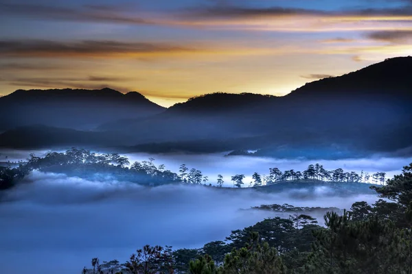 Dalat, Vietnam için sabahları Highlands etkileyici bir nefes kesen sahne oluşturulan çam ormanlar üzerinde ışınları hayali bulutların arasından yansıtan ile parlak şafak güzel görüntü