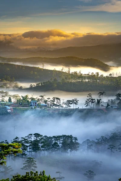 Sabah yapraklara çam ormanları, yaylaları üzerinde üzerinde bulutlar hayali aracılığıyla ile dawn güzel  