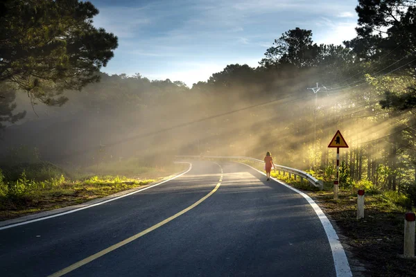 Una Mujer Solitaria Caminando Rayos Sol Través Del Bosque Pinos Imagen De Stock