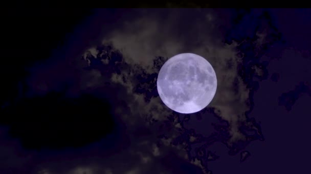 Handy Cutaway Full Moon Actually Day Full Moon Whisky Clouds — Stock Video