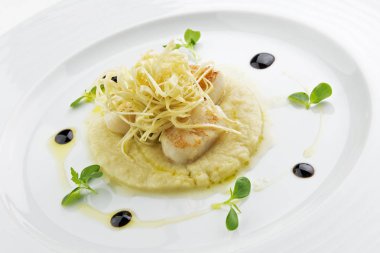 Plate of scallops with celeriac and balsamic vinegar reduction clipart