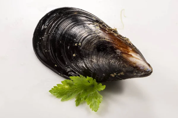 Mussel Segar Mentah Dan Peterseli Diisolasi Pada Latar Belakang Putih — Stok Foto