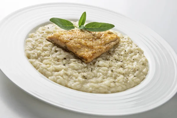 Parmesan Risotto Maträtt Med Öring Filé Isolerad Vit Bakgrund — Stockfoto