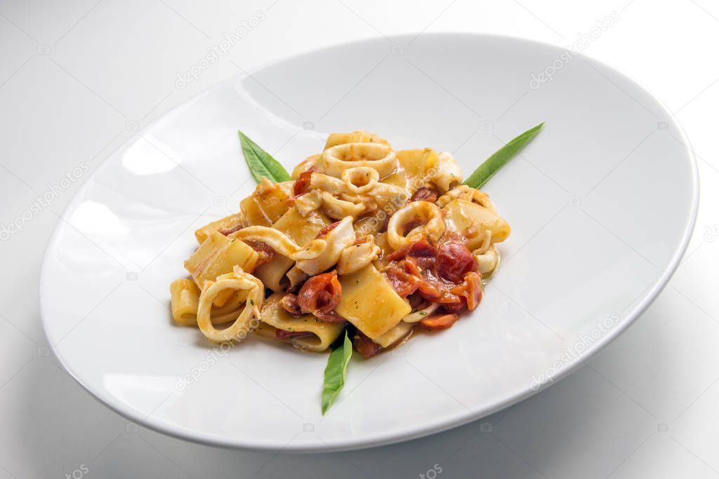 Dish of calamarata pasta with squid and tomato on white background