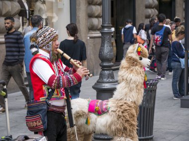 Andean kostüm ile kör flütçü