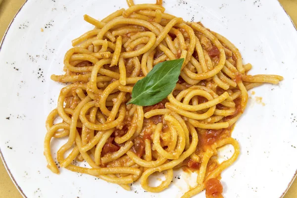 Prato com massa pici toscana com alho e tomate — Fotografia de Stock