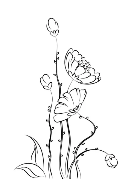 カモミールの花の図面テンプレート ベクトルグラフィック要素 — ストックベクタ