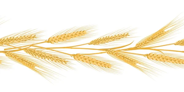 Orejas de trigo paisaje borde patrón sin costuras para pancartas Vector de stock