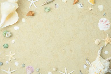 Dekorasyon yaz tatil ve doğa arka plan kavramı üstten görünüm havadan görüntü iz tablo. Sahil gezi seyahat için düz yatıyordu gerekli aksesuarlar. Beyaz kum denizi üzerinde çeşitli kabuk. Metin için boş alan.