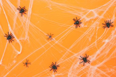 Tablo üstten görünüm dekorasyon mutlu Cadılar Bayramı gün arka plan kavramı hava görüntüsü. Düz aksesuarları temel nesne siyah lastik örümcek ve beyaz örümcek ağı modern rustik turuncu kağıt üzerinde yatıyordu.