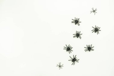 Tablo üstten görünüm dekorasyon mutlu Cadılar Bayramı gün arka plan kavramı hava görüntüsü. Düz yatıyordu aksesuarları aranjman beyaz tahta üzerinde temel nesne. Yaratıcı tasarım kadar sahte ve şablon için alan.