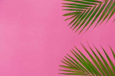 Yaz tatili arka plan kavramının hava görüntüsü. Düz hindistan cevizi ya da palmiye yeşili yaprak modern rustik kağıt arka planda. Yaratıcı tasarım için boş alan içerik için metin oluşturur