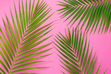 Yaz tatili arka plan kavramının hava görüntüsü. Düz hindistan cevizi ya da palmiye yeşili yaprak modern rustik kağıt arka planda. Yaratıcı tasarım için boş alan içerik için metin oluşturur
